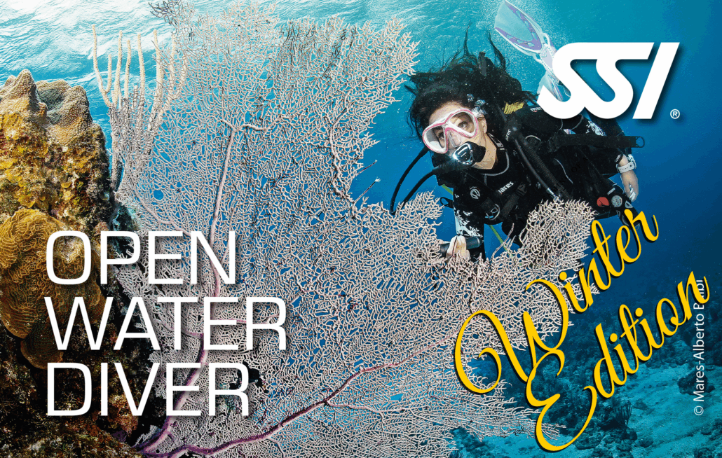 Winter Open Water Diver