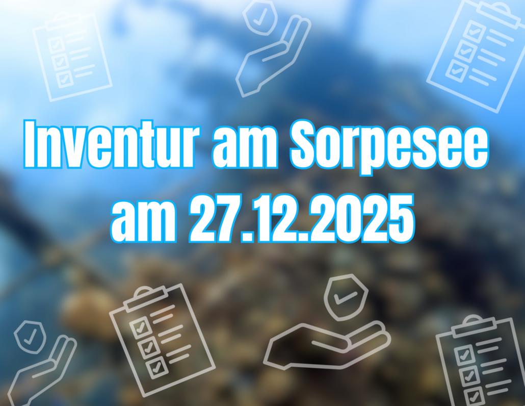 Inventur_Dezember 2025